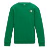 Kids Sweatshirt 3-11years Thumbnail