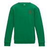 Kids Sweatshirt 3-11years Thumbnail