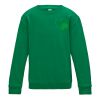 Kids Sweatshirt 3-11years Thumbnail