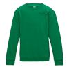 Kids Sweatshirt 3-11years Thumbnail