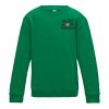 Kids Sweatshirt 12+ years Thumbnail