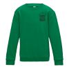 Kids Sweatshirt 12+ years Thumbnail