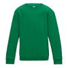 Kids Sweatshirt 12+ years Thumbnail