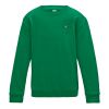 Kids Sweatshirt 12+ years Thumbnail