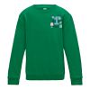 Kids Sweatshirt 12+ years Thumbnail