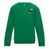 Kids Sweatshirt 12+ years Thumbnail
